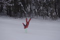 2010-02-14_11-43-39