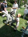 Photo 20090823